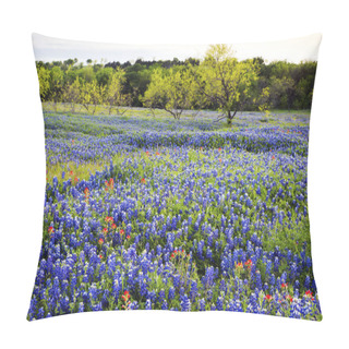 Personality  Bluebonnets In Texas Hill Country Pillow Covers