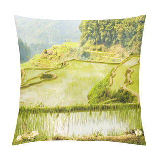 Personality  Banaue Pillow Covers