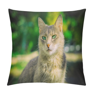 Personality  Portrait Of A Beautiful Cat Pillow Covers