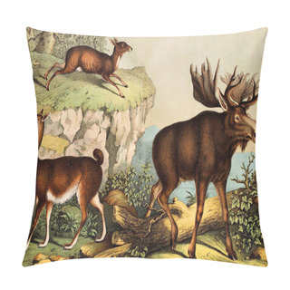 Personality  Animals In The Wild. Pillow Covers
