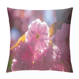 Personality  Close Up View Of Beautiful Cherry Tree Blossom And Sunlight Backdrop Pillow Covers