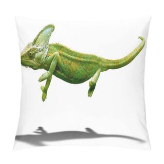 Personality  Colorful Chameleon Closeup Isolated On White With Shadow Pillow Covers