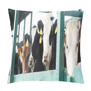 Personality  Panoramic Shot Of Spotted Cows With Yellow Tags In Cowshed On Dairy Farm Pillow Covers