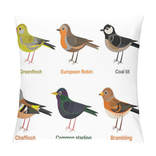 Personality  Vector Illustration Set Of Cute European Bird Cartoons - Greenfinch, Robin, Coal Tit, Chaffinch, Common Starling, Brambling Pillow Covers