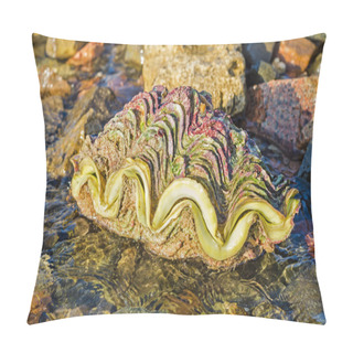 Personality  Tridacna Giant Clam Shell On The Beach Pillow Covers