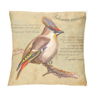 Personality  Bohemian Waxwing - An Hand Painted Vector Pillow Covers