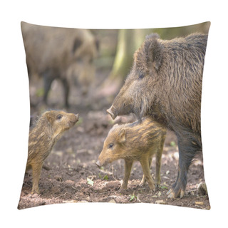 Personality  Family Wild Boar Pillow Covers