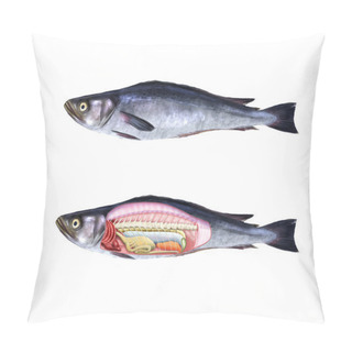 Personality  Fish Anatomy Pillow Covers