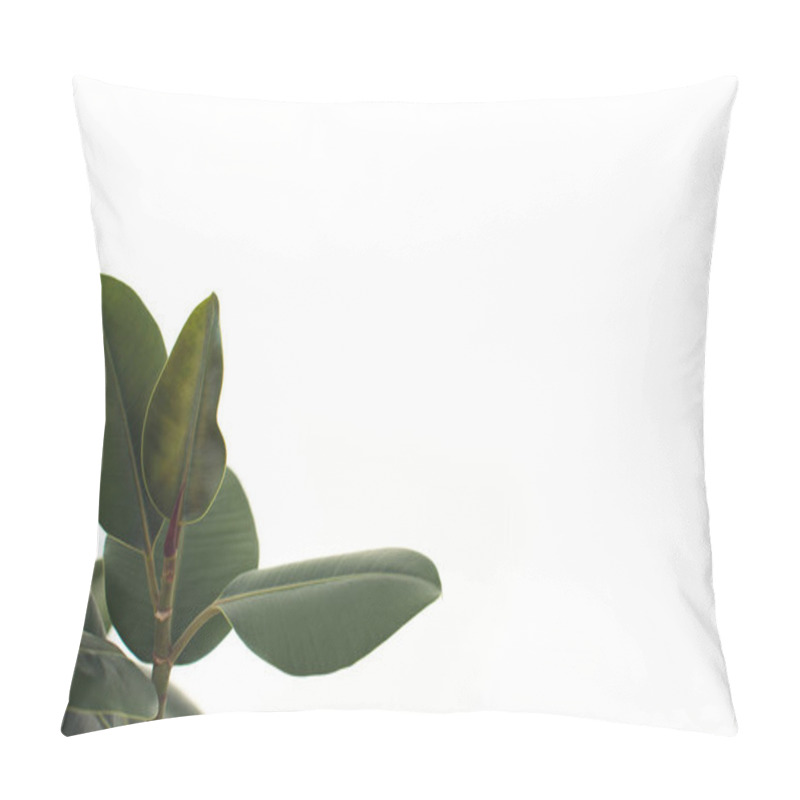 Personality  green ficus leaves pillow covers