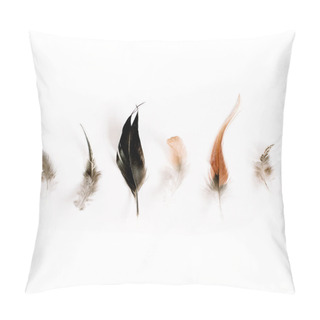 Personality  Bird Feathers Pattern. Pillow Covers