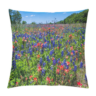 Personality  A Beautiful Field Blanketed With Bright Blue Texas Bluebonnets And Bright Orange Indian Paintbrush Wildflowers. Pillow Covers