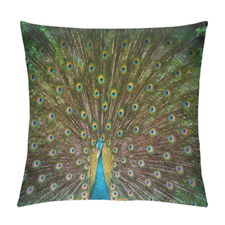 Personality  Peacock Displays His Beautiful Tail Pillow Covers