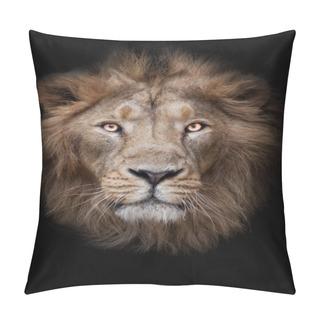 Personality  Face Of A Lion Male Lion Full Screen Black Red Mane Serious Look, Isolated Black Background Pillow Covers