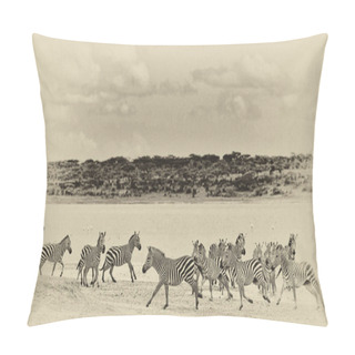 Personality  Zebras In The Serengeti National Park, Tanzania Pillow Covers