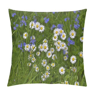 Personality  Close Up Of Common Daisy Bellis Perennis In A Flower Meadow Pillow Covers