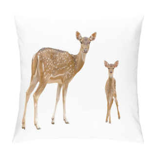 Personality  Axis Deer Isolated On White Background Pillow Covers