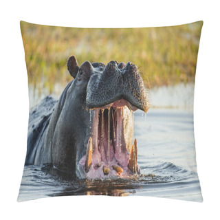 Personality  Hippopotamus Showing Huge Jaw Pillow Covers