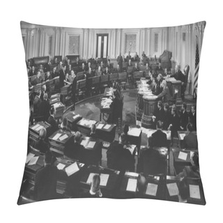 Personality  Congressional Hearing In Session Pillow Covers
