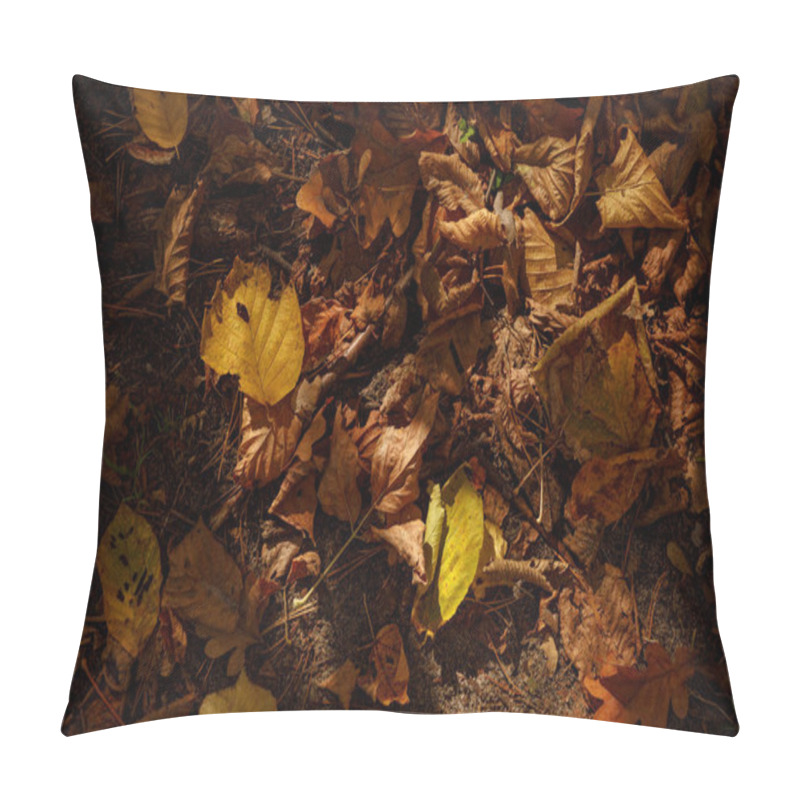 Personality  top view of yellow and dry leaves in autumnal park at day  pillow covers