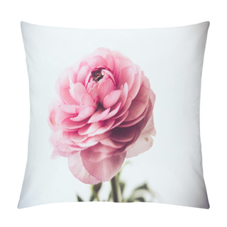 Personality  Pastel Pink Buttercup Pillow Covers