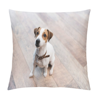 Personality  Jack Russell Terrier Sitting On Floor At Home  Pillow Covers