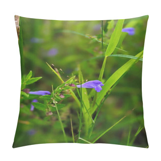 Personality  Scutellaria Lateriflora Or Blue Skullcap Blue Flowers With Green Leaves Vertical Pillow Covers