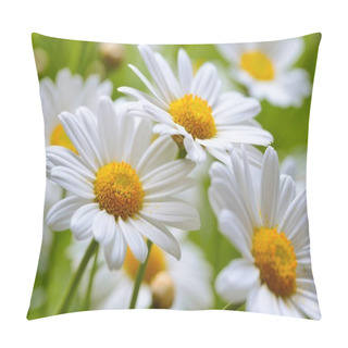 Personality  Naure Power Pillow Covers