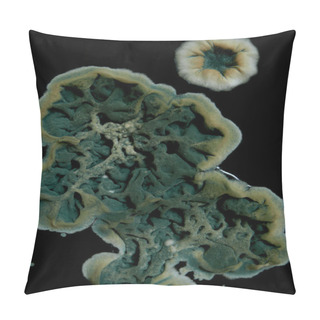 Personality  Macro Islands Embossed Mold On A Black Background Pillow Covers