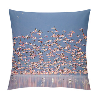 Personality  Flock Of Pink Flamingos From Lake Manyara, Tanzania. African Safari Pillow Covers