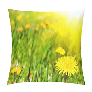 Personality  Summer Dandelions Pillow Covers