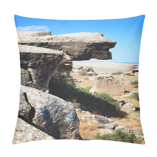 Personality  Qobustan National Park In Azerbaijan Pillow Covers