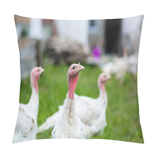 Personality  Young Turkey On A Farm Pillow Covers
