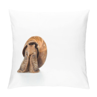 Personality  Slimy Brown Snail Isolated On White Pillow Covers