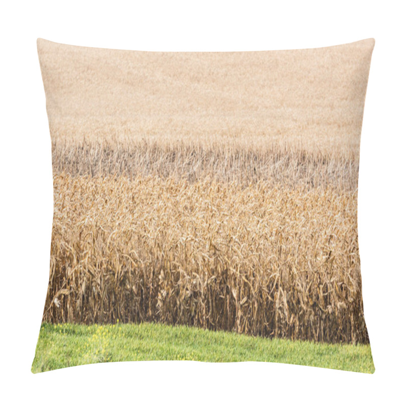 Personality  green fresh grass near golden rye field  pillow covers