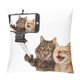 Personality  Funny Cats - Self Picture. Pillow Covers