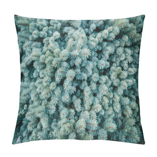 Personality  Close-up Shot Of Blue Spruce Branches For Background Pillow Covers