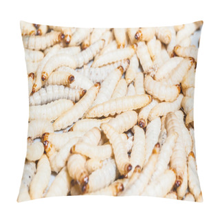 Personality  Mealworms Pillow Covers