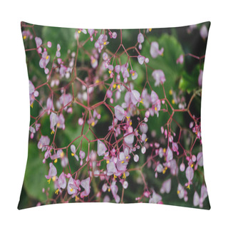 Personality  Close Up View Of Small Purple Flowers On Branches  Pillow Covers