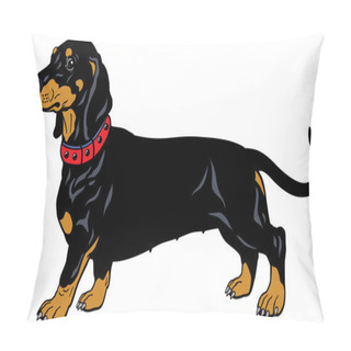 Personality  Black Dachshund Pillow Covers