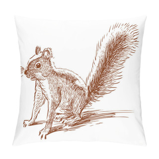 Personality  Funny Squirrel Pillow Covers