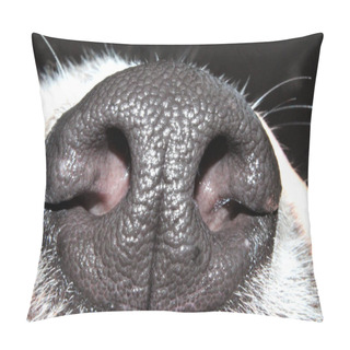 Personality  A Macro Shot Of Dog Nose And Nostril Pillow Covers