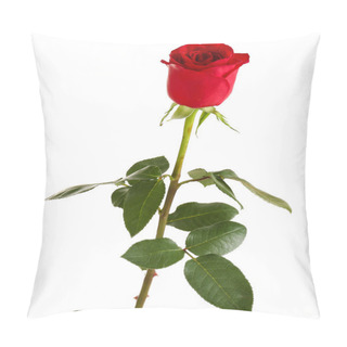 Personality  Beautiful Red Rose Pillow Covers