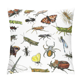 Personality  Set Of Watercolor Drawing Insects Pillow Covers