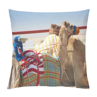 Personality  Racing Camels Lying Pillow Covers