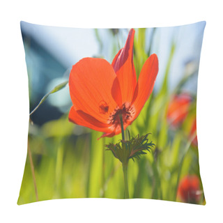 Personality  Blooming Red Anemones Pillow Covers