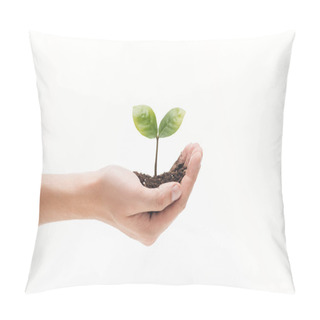 Personality  Cropped View Of Man Holding Ground With Green Leaves In Hand Isolated On White Pillow Covers