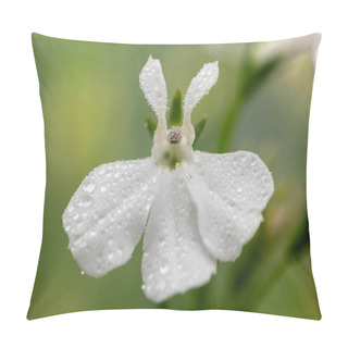 Personality  Macro Shot Of A White Garden Lobelia (lobelia Erinus) Flower Pillow Covers