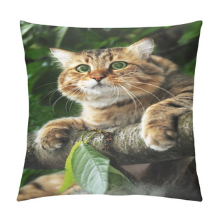 Personality  Cat On A Tree Branch Pillow Covers