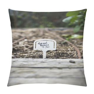 Personality  Broad Beans Planted In A Backyard Garden Pillow Covers