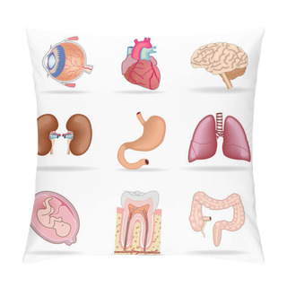 Personality  Human Organs Pillow Covers